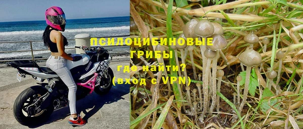 ГАЛЛЮЦИНОГЕННЫЕ ГРИБЫ Белоозёрский