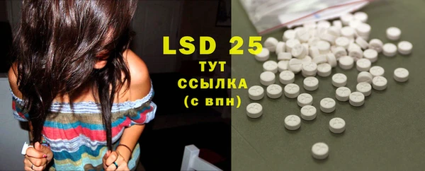 ГАЛЛЮЦИНОГЕННЫЕ ГРИБЫ Белоозёрский