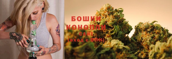 ГАЛЛЮЦИНОГЕННЫЕ ГРИБЫ Белоозёрский
