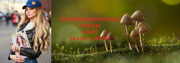 ГАЛЛЮЦИНОГЕННЫЕ ГРИБЫ Белоозёрский