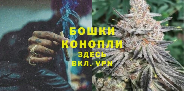 2c-b Белокуриха