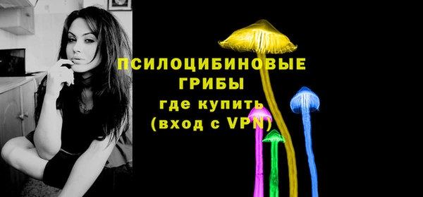 ГАЛЛЮЦИНОГЕННЫЕ ГРИБЫ Белоозёрский