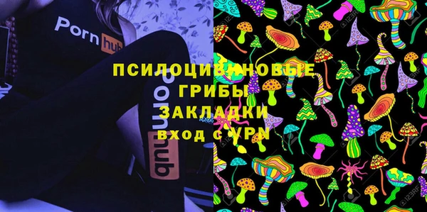 2c-b Белокуриха