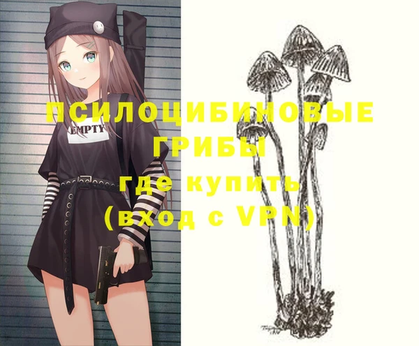 2c-b Белокуриха