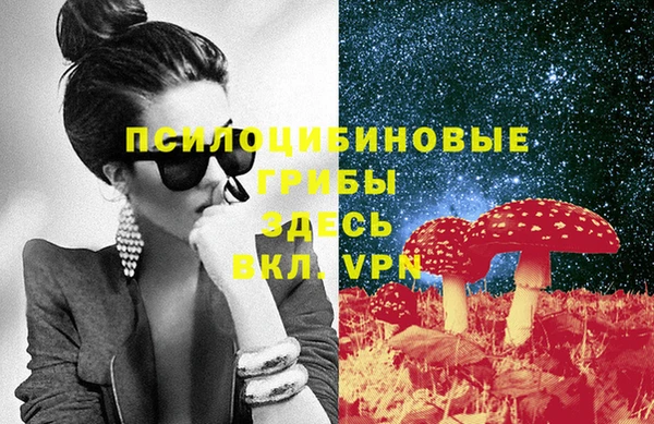 2c-b Белокуриха