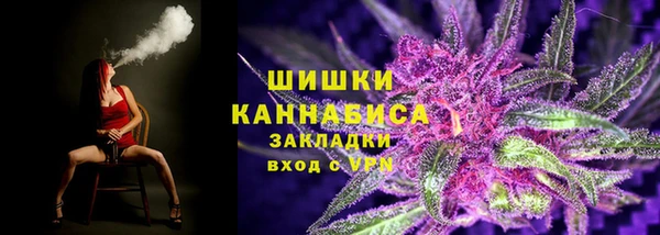 ГАЛЛЮЦИНОГЕННЫЕ ГРИБЫ Белоозёрский