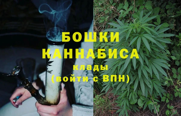 ГАЛЛЮЦИНОГЕННЫЕ ГРИБЫ Белоозёрский